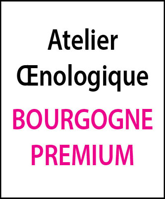 atelier oenologique Bourgogne Premium arts et vin 2